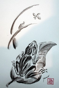 kaeru