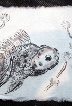 oranda